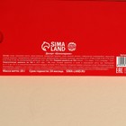 Шоколадное драже «Новый год: Освобождение от всех кредитов», 20 г. - Фото 4