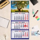 Календарь квартальный, трио "Природа - 16" 2024 год, 31х69см - фото 11376791