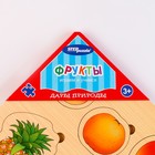Игра из дерева «Дары природы. Фрукты» - фото 25352465 Игра из дерева «Дары природы. Фрукты» - фото 25352465