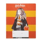 Тетрадь 12 листов в линейку "Гарри Поттер", обложка мелованный картон, блок офсет 65г/м2 , 5В МИКС - Фото 6