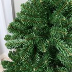 Искусственная ёлка Max Christmas «Феодосийская», 150 см, ветки ПВХ отгибаются - Фото 2