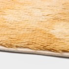 Коврик Доляна «Пушистик», 40×60 см, цвет коричневый - Фото 3
