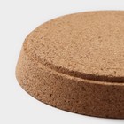 Набор подставок под горячее Доляна «Идея», 2 шт, d=10 см - фото 22966899