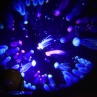 Световой прибор «Космос», 11 см, 6 картриджей, свечение RGB, 5 В - фото 7530755
