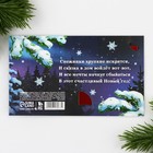 Подарочный новогодний набор: блокнот и значок «С новым счастьем» - Фото 10