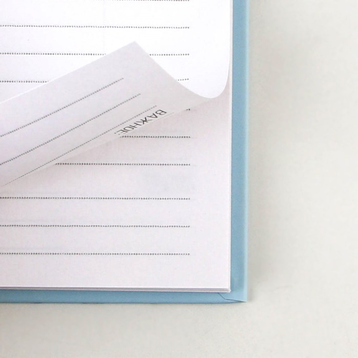 Подарочный набор «Любимому воспитателю»:ежедневник А5, 80 листов, ручка шариковая металл 0,8 мм, мыльные лепестки - фото 1885796394
