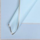 Пленка для цветов "Золотая полоса", нежный голубой, 58 х 58 см набор 20 шт - фото 11335606