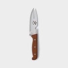 Нож для мяса «Шашлычный», лезвие 13,7 см - фото 320326361