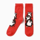 Носки женские махровые, цвет красный/пингвины, размер 36-40 - фото 2899264
