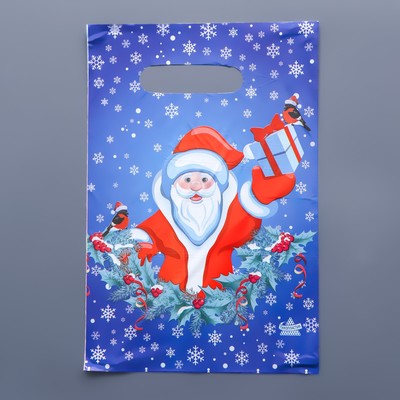 Пакет "Подарок Деда Мороза", полиэтиленовый с вырубной ручкой, 30х20 см, 30 мкм