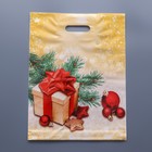 Пакет "Подарок в золоте", полиэтиленовый с вырубной ручкой, 40х31 см, 60 мкм - фото 301012869