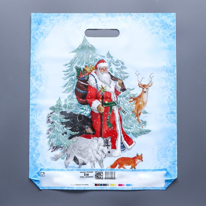 Пакет "Зимний гость", полиэтиленовый с вырубной ручкой, 45 х 38 см, 60 мкм 9827662