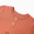 Лонгслив детский, цвет кирпичный, рост 86 см - фото 23657628