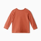 Лонгслив детский, цвет кирпичный, рост 86 см - фото 23657630