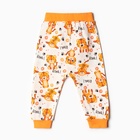 Штанишки детские, цвет белый/тигрята, рост 68 см 9926998