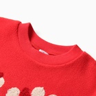 Комплект для детей (свитшот, брюки), цвет красный, рост 110 см - Фото 3