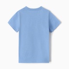 Футболка для мальчика, цвет голубой, рост 104 см - Фото 4