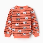 Комплект для девочки (свитшот, брюки), цвет коралловый, рост 98 см - фото 23664721