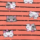 Комплект для девочки (свитшот, брюки), цвет коралловый, рост 98 см - фото 23664724