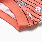 Комплект для девочки (свитшот, брюки), цвет коралловый, рост 98 см - фото 23092210