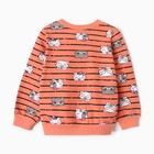 Комплект для девочки (свитшот, брюки), цвет коралловый, рост 98 см - фото 23664726