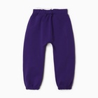 Комплект для девочки (толстовка, брюки ), цвет фиолетовый, рост 104 см - Фото 9