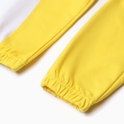 Комплект для девочки (толстовка, брюки ), цвет жёлтый, рост 104 см - фото 23865635