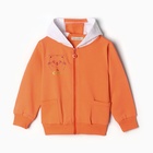 Комплект для девочки (толстовка, брюки ), цвет коралловый, рост 104 см - фото 23865654