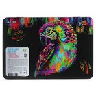 Карандаши 48 цветов, deVENTE Trio Mega Soft, трёхгранный корпус, 4M, 3 мм, металлическая подарочная коробка - фото 25366183