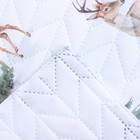 Покрывало «Этель» 2 сп Forest miracle, 180×210 см, микрофибра - Фото 3