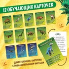 Обучающий пазл «Эпоха динозавров», с карточками и наклейками - фото 4489311