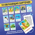 Обучающий пазл «Изучаем животных», с наклейками и карточками, 66 деталей - фото 5114540