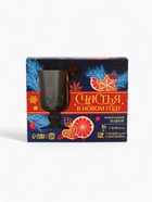 Подарочный набор для приготовления глинтвейна «Новый год: Счастья»: специи, 30 г, бокалы 2 шт.×250 мл. - Фото 6