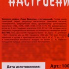 Драже-глаз «Ведьмино зелье» с татуировкой, 15 г. - Фото 6