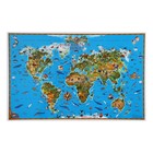 Карта мира настольная "Обитатели Земли" (двухсторонняя), 54 x 37 см, ламинированная - фото 11361210
