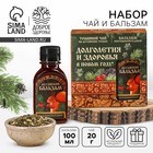 Подарочный набор новогодний «Долголетия»: Чай новогодний травяной 20 г., безалкогольный бальзам 100 мл. - Фото 1