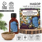 Подарочный набор новогодний «Благополучия»: чай 20 г., безалкогольный бальзам 100 мл. - Фото 1