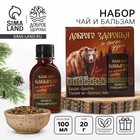 Подарочный набор новогодний «Доброго здоровья»: Чай новогодний травяной 20 г., безалкогольный бальзам 100 мл. - Фото 1