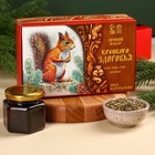 Подарочный набор новогодний «Крепкого здоровья»: три вида сбора трав 60 г ( 3 шт. × 20 г)., варенье из сосновых шишек 100 мл. - Фото 2