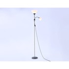 Светильник напольный с выключателем на проводе Ambrella light, Floor, TR97626, 2хE27, E14, цвет серебро - Фото 2