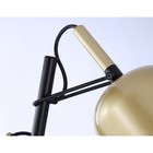 Светильник напольный с выключателем на проводе Ambrella light, Traditional, TR97125, 2хE27, цвет золото, чёрный - Фото 4