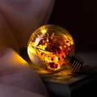 Ёлочный шар «Розовые сухоцветы», d=8 см, 5 LED, от батареек, свечение тёплое белое - Фото 3
