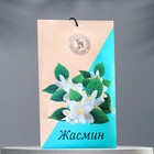 Аромасаше «Жасмин», 10 г, «Богатство Аромата» - Фото 1