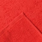 Набор новогодний подарочный Доляна «Тепла и уюта» : полотенце 30×60, лопатка, кисть, губка - Фото 5