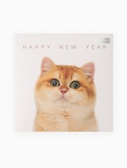 Набор новогодний подарочный KAFTAN «Киса», маска, носки размер 36-39 (23-25 см), открытка 2 шт. - фото 119048236