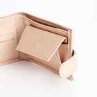 Кошелёк женский на кнопке, TEXTURA, цвет пудра - фото 23030940