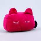 Пенал школьный мягкий «Котик», 20 × 10 см, бархатный, розовый - фото 7683488