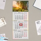 Календарь квартальный, мини-трио "Природа" 2024 год, 19х46 см - фото 11429301