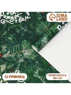 Бумага упаковочная новогодняя глянцевая «С Новым годом», 50×70 см - Фото 1