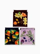 Подарочный набор новогодний «Кот», чай ассорти 5.4 г ( 3 шт.×1.8 г), молочный шоколад 25 г (5 шт.×5 г), открытка - Фото 3